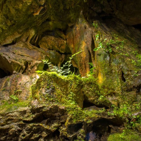 5 activités à faire en famille dans le Val d’Ardenne ce printemps 🌿
