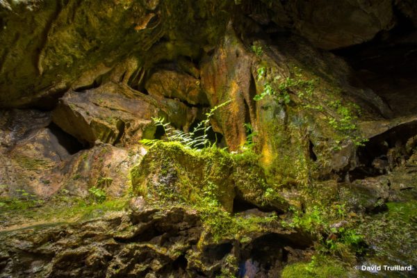 5 activités à faire en famille dans le Val d&rsquo;Ardenne ce printemps 🌿