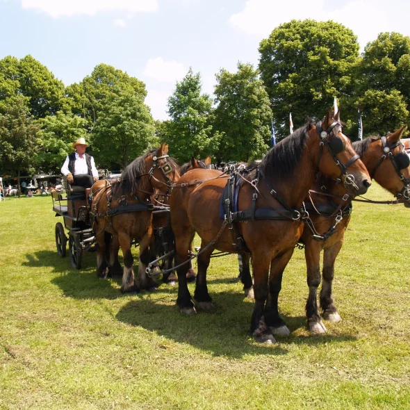 10 villages à découvrir :