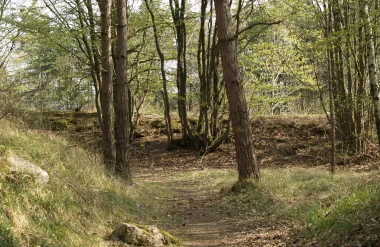 La réserve naturelle nationale de la pointe de Givet
