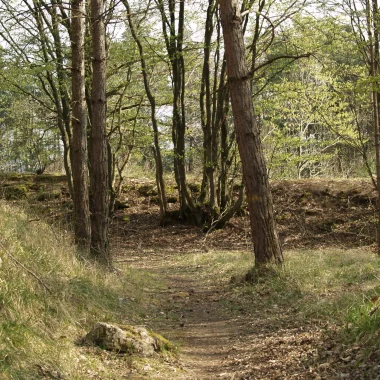 La réserve naturelle nationale de la pointe de Givet