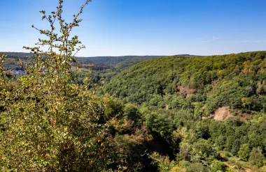 Que faire en Val d’Ardenne pendant la saison estivale ?