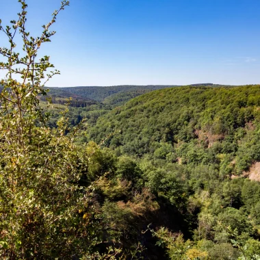 Que faire en Val d’Ardenne pendant la saison estivale ?