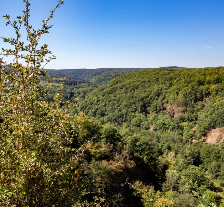 Que faire en Val d’Ardenne pendant la saison estivale ?