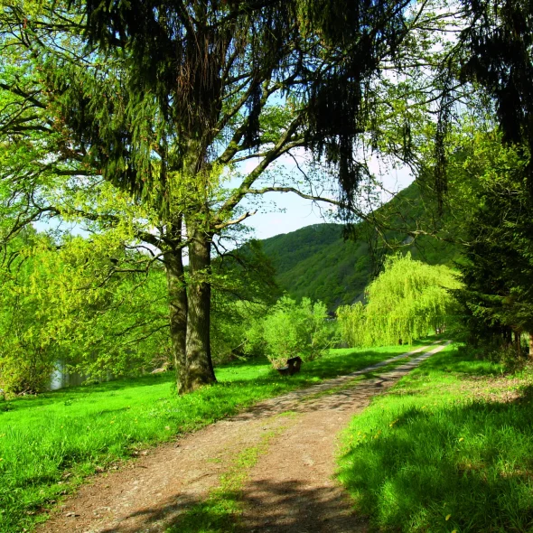5 conseils voyage pour venir dans le Val d’Ardenne