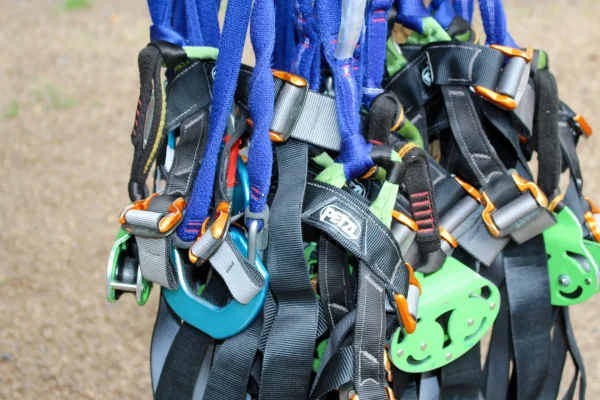 5 bonnes raisons d’aller à TerrAltitude