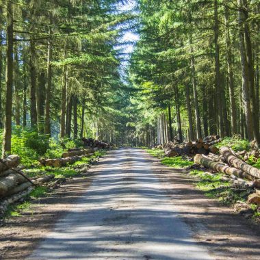 5 astuces pour profiter de l’automne